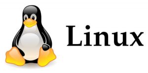 linux_logo__w1200
